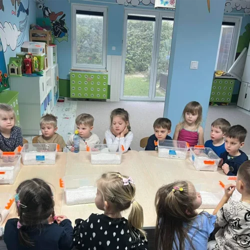 Edukacja